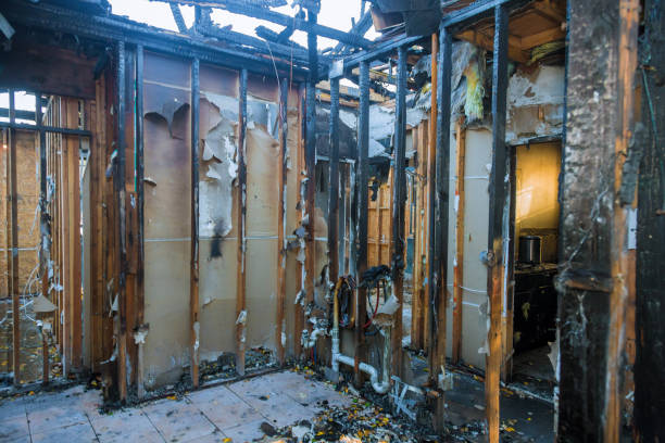 Professional Smoke Damage Removal technician working in Sebring, OH